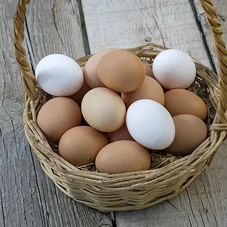 Hotel Oersmaris Boutique Marmaris