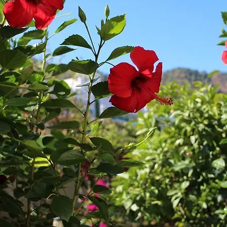 Oersmaris Boutique Szálloda Marmaris